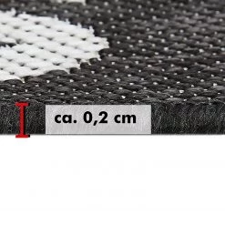 Andiamo Tapis intérieur / extérieur New Orleans - Fibres synthétiques - Anthracite / Beige -Tapis Soldes Boutique 1000142769 220301 060 DETAILS P000000001000142769