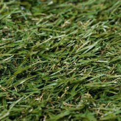 Andiamo Gazon synthétique Jever - Polyéthylène / Polypropylène - Vert - 133 x 300 cm -Tapis Soldes Boutique 1000173598 190506 08373800557 GALLERYIMAGES P000000001000173598