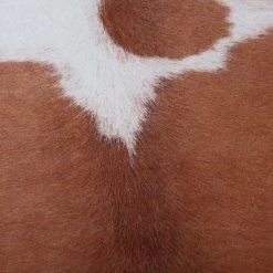 Obsession Tapis My Toledo VI - Polyester - Marron -Tapis Soldes Boutique 1000237503 210317 14382400016 DETAILS P000000001000237503