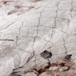 Sehrazat Tapis Caimas 2970 Vizon - Fibres synthétiques, impression digitale - Beige - 80 x 300 cm 12 Sehrazat Tapis Caimas 2970 Vizon - Fibres synthétiques, impression digitale - Beige - 80 x 300 cm -Tapis Soldes Boutique 1000238295 210113 10525200580 DETAILS P000000001000238295