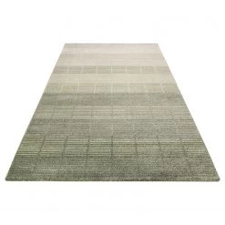Esprit Home Tapis Redwoods - Fibres synthétiques - Vert clair - 160 x 225 cm -Tapis Soldes Boutique 1000239773 210126 12091401317 DETAILS P000000001000239773