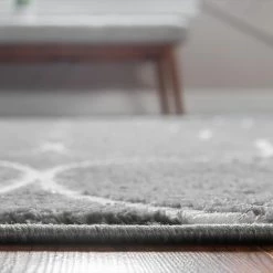 Top Square Tapis de couloir Titan Trellis II - Polypropylène / Envers : - Gris foncé 18 Top Square Tapis de couloir Titan Trellis II - Polypropylène / Envers : - Gris foncé -Tapis Soldes Boutique 1000284690 210819 14181302712 DETAILS P000000001000284690