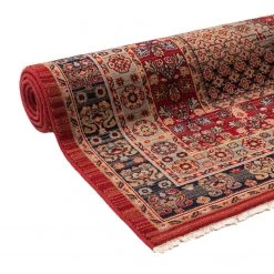 THEKO die markenteppiche Tapis en laine Saharna 2400 - Laine vierge - Rouge - 160 x 230 cm -Tapis Soldes Boutique 1000302175 211117 17443103688 DETAILS P000000001000302175