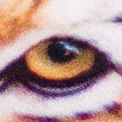 Andiamo Tapis Tiger - Polyamide - Orange 15 Andiamo Tapis Tiger - Polyamide - Orange -Tapis Soldes Boutique 1000307544 211202 185236000136 DETAILS P000000001000307544