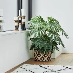 Eva Padberg Collection Tapis Kaunas - 160 x 230 cm -Tapis Soldes Boutique teppich kaunas mischgewebe weiss 4701632